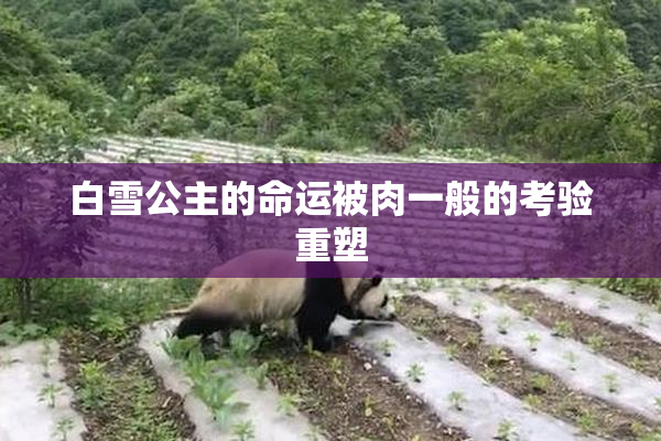 白雪公主的命运被肉一般的考验重塑