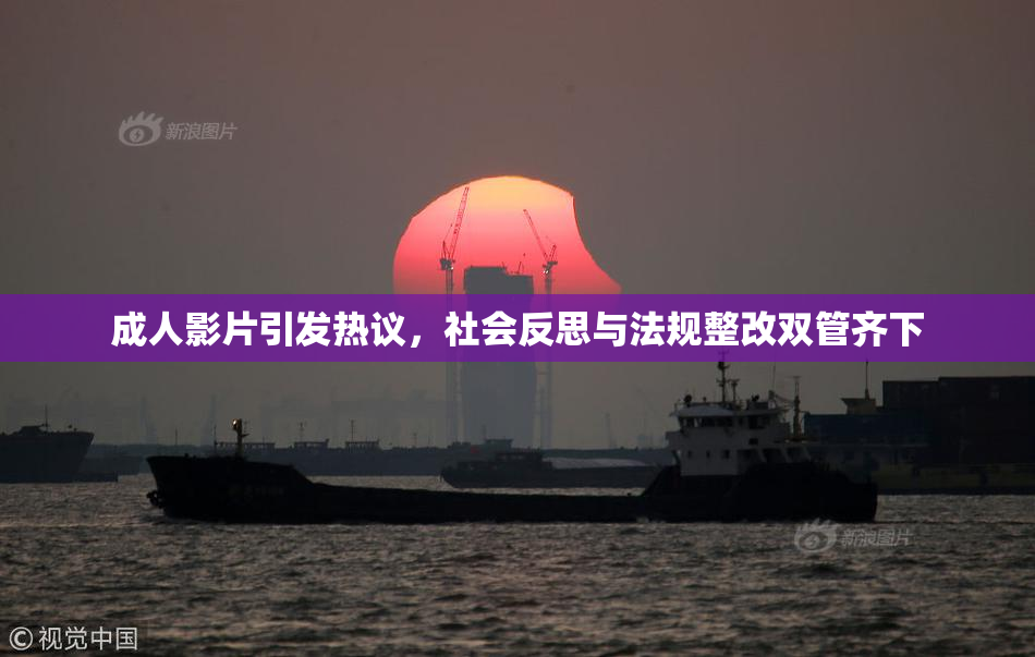 成人影片引发热议，社会反思与法规整改双管齐下