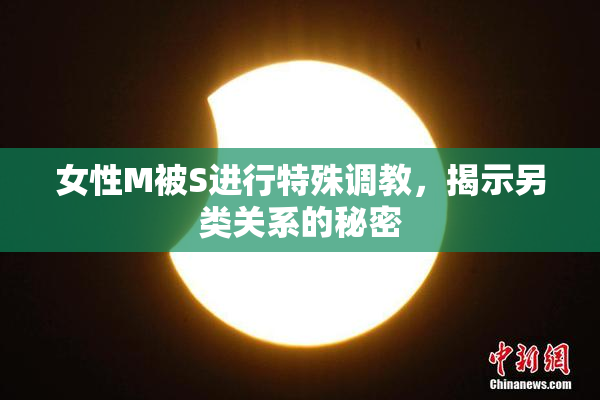 女性M被S进行特殊调教，揭示另类关系的秘密