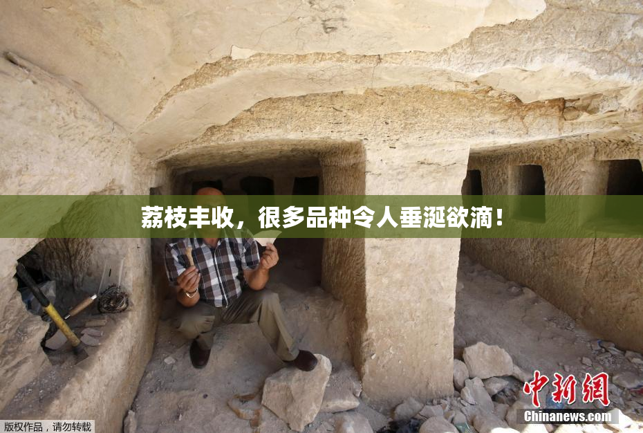 荔枝丰收，很多品种令人垂涎欲滴！