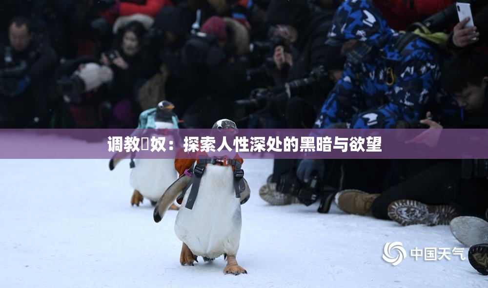 调教婬奴：探索人性深处的黑暗与欲望