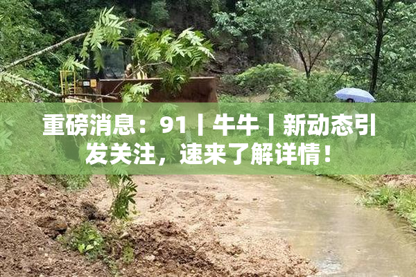 重磅消息：91丨牛牛丨新动态引发关注，速来了解详情！