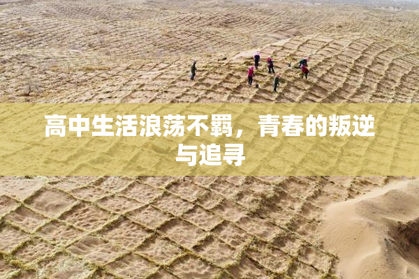 高中生活浪荡不羁，青春的叛逆与追寻