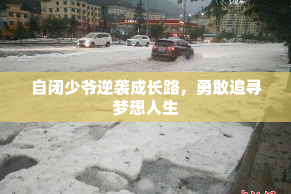 自闭少爷逆袭成长路，勇敢追寻梦想人生