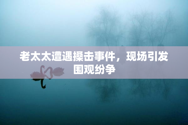 老太太遭遇搡击事件，现场引发围观纷争