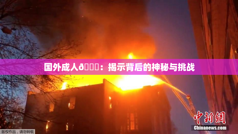 国外成人🔞：揭示背后的神秘与挑战