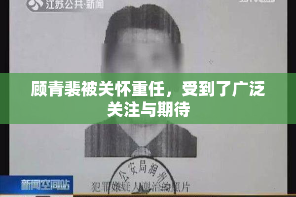 顾青裴被关怀重任，受到了广泛关注与期待