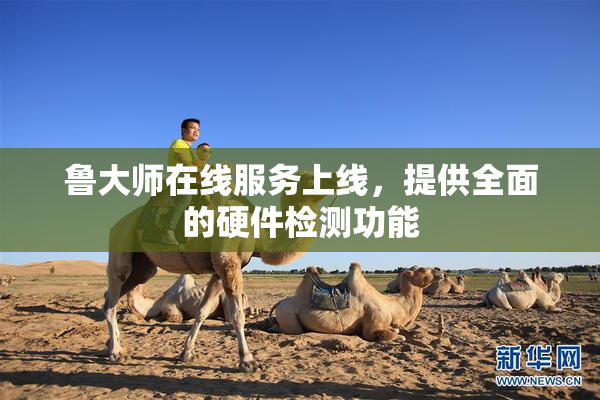 鲁大师在线服务上线，提供全面的硬件检测功能