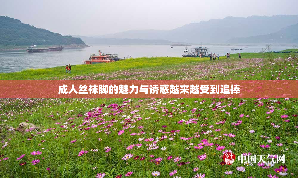 成人丝袜脚的魅力与诱惑越来越受到追捧