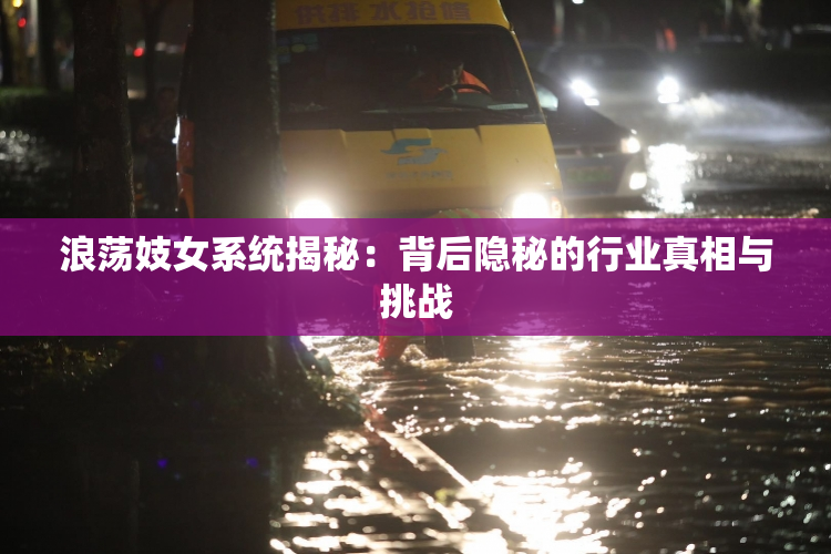 浪荡妓女系统揭秘：背后隐秘的行业真相与挑战
