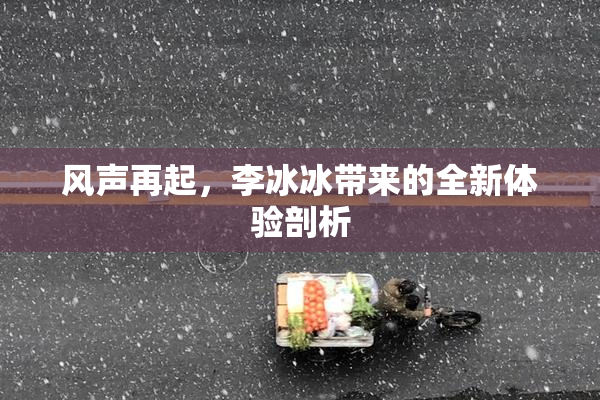 风声再起，李冰冰带来的全新体验剖析