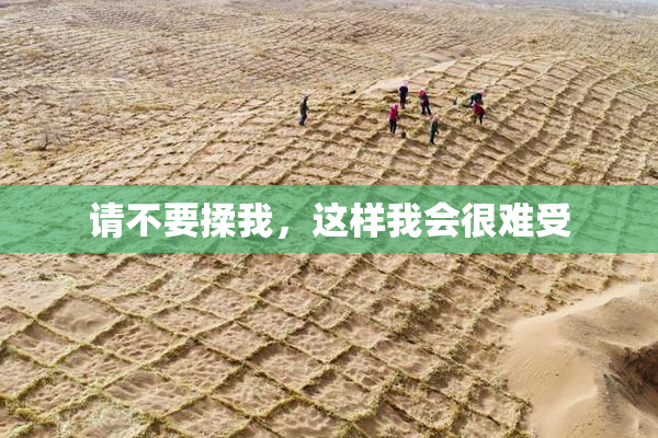 请不要揉我，这样我会很难受
