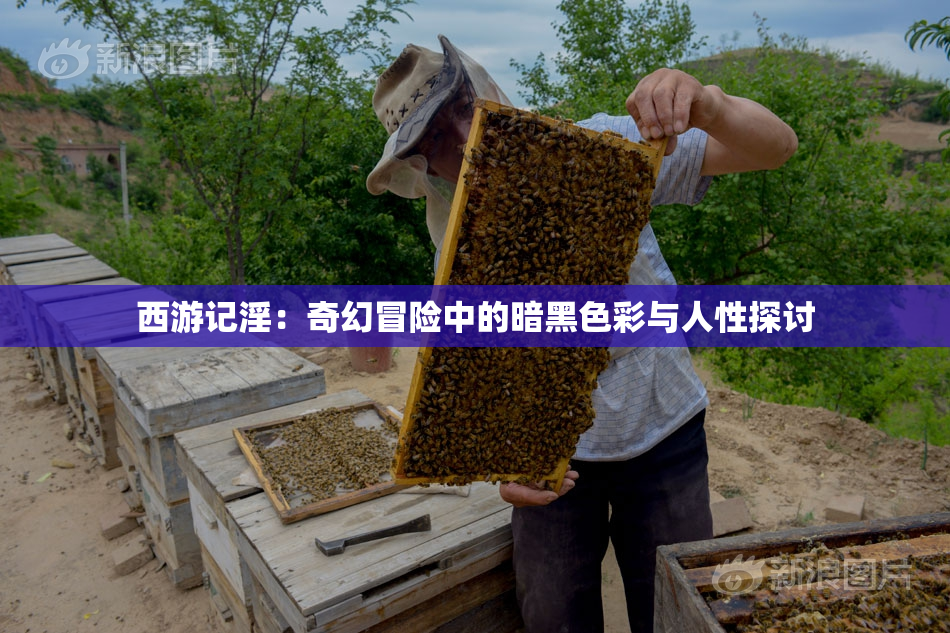 西游记淫：奇幻冒险中的暗黑色彩与人性探讨