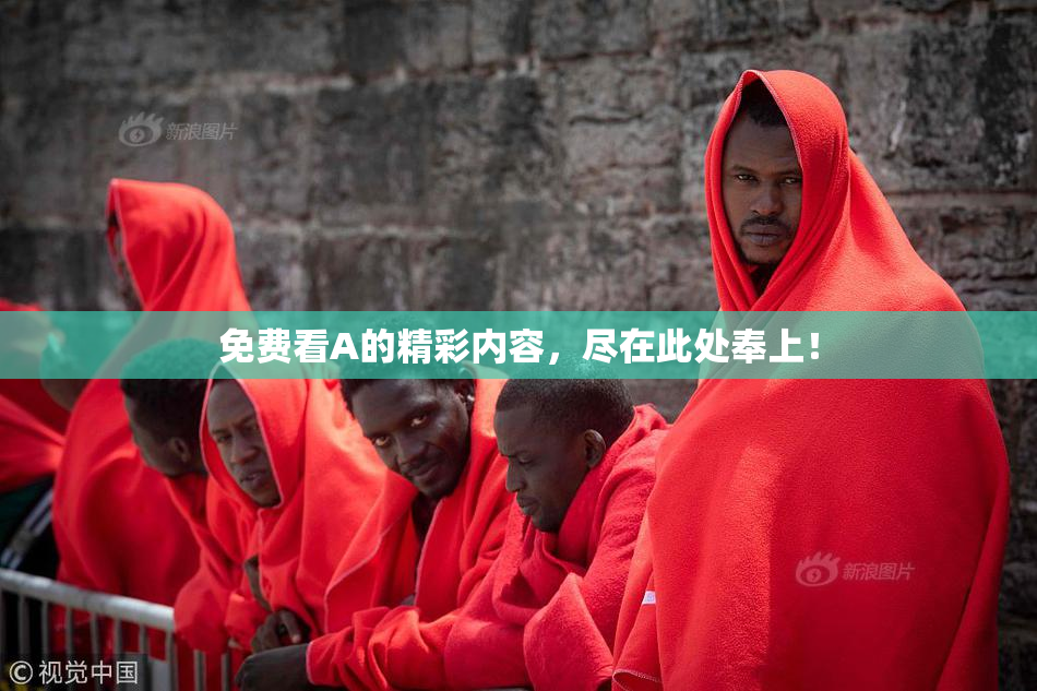 免费看A的精彩内容，尽在此处奉上！