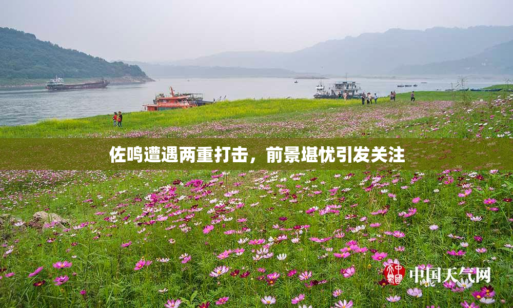 佐鸣遭遇两重打击，前景堪忧引发关注
