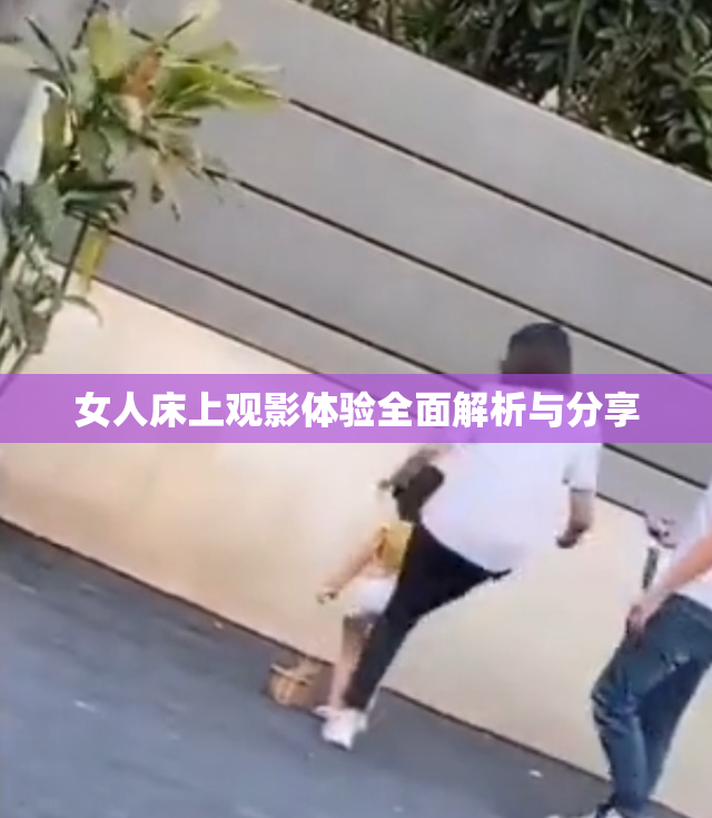 女人床上观影体验全面解析与分享
