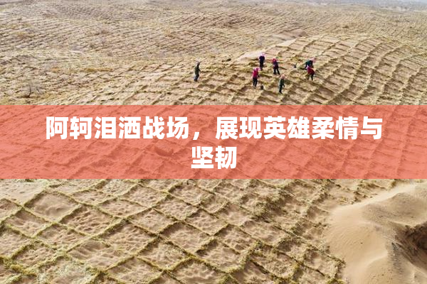 阿轲泪洒战场，展现英雄柔情与坚韧
