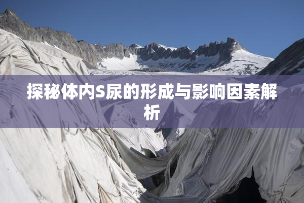 探秘体内S尿的形成与影响因素解析