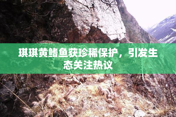 琪琪黄鳍鱼获珍稀保护，引发生态关注热议