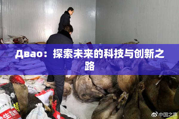 Двао：探索未来的科技与创新之路