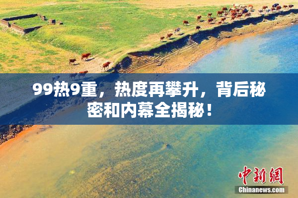 99热9重，热度再攀升，背后秘密和内幕全揭秘！