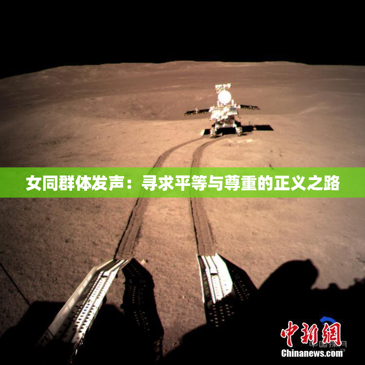 女同群体发声：寻求平等与尊重的正义之路