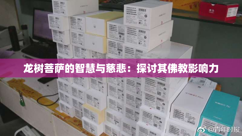龙树菩萨的智慧与慈悲：探讨其佛教影响力
