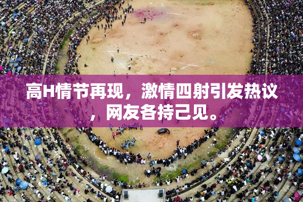 高H情节再现，激情四射引发热议，网友各持己见。