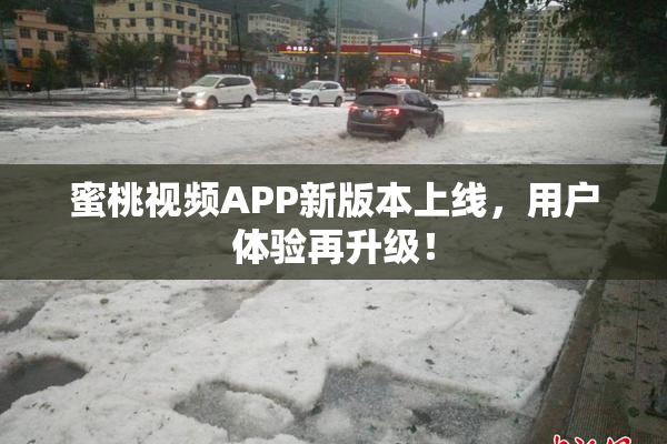 蜜桃视频APP新版本上线，用户体验再升级！