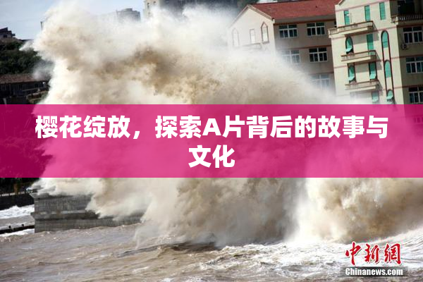 樱花绽放，探索A片背后的故事与文化