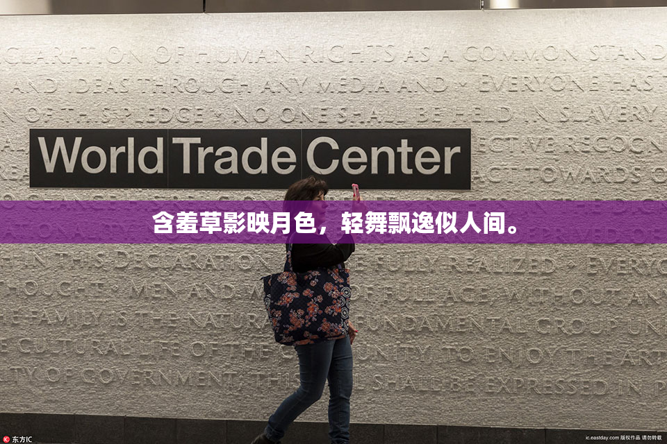 含羞草影映月色，轻舞飘逸似人间。