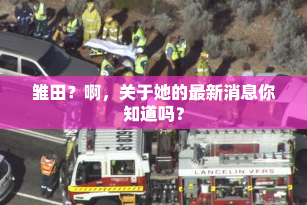雏田？啊，关于她的最新消息你知道吗？