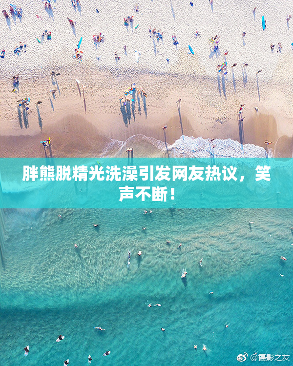 胖熊脱精光洗澡引发网友热议，笑声不断！