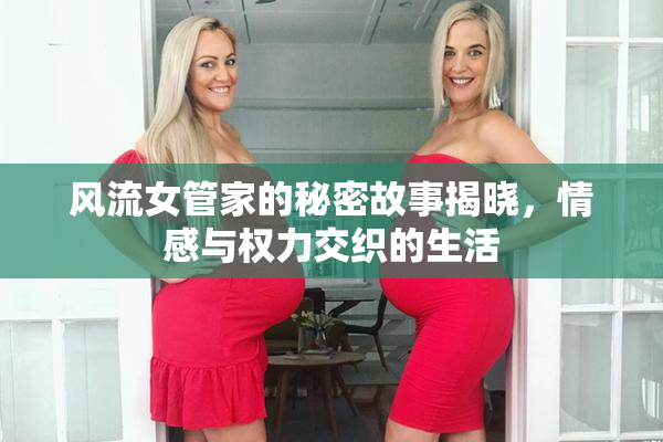 风流女管家的秘密故事揭晓，情感与权力交织的生活