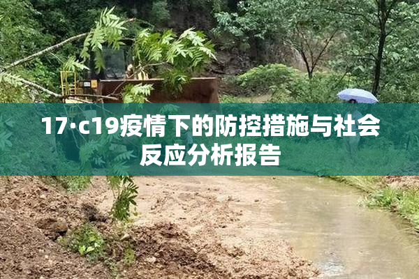 17·c19疫情下的防控措施与社会反应分析报告