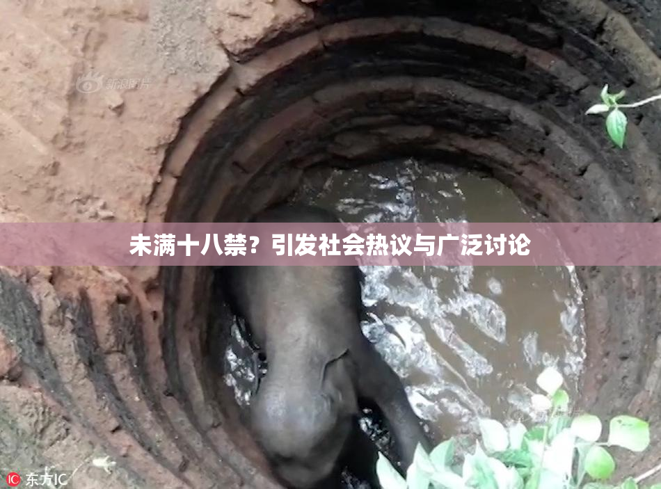未满十八禁？引发社会热议与广泛讨论