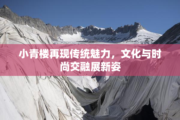 小青楼再现传统魅力，文化与时尚交融展新姿