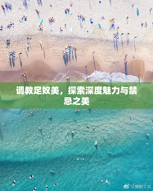 调教足奴美，探索深度魅力与禁忌之美