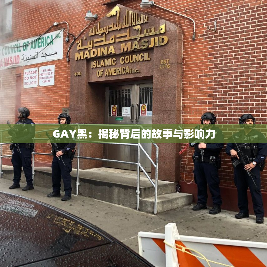 GAY黑：揭秘背后的故事与影响力