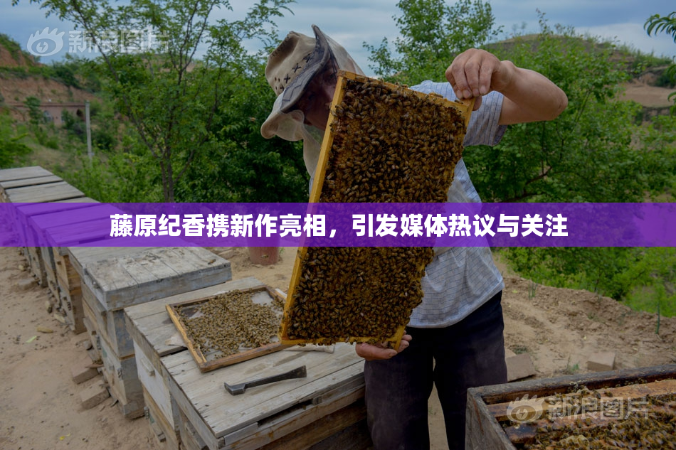 藤原纪香携新作亮相，引发媒体热议与关注
