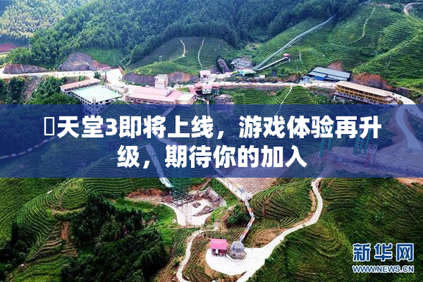 妺天堂3即将上线，游戏体验再升级，期待你的加入