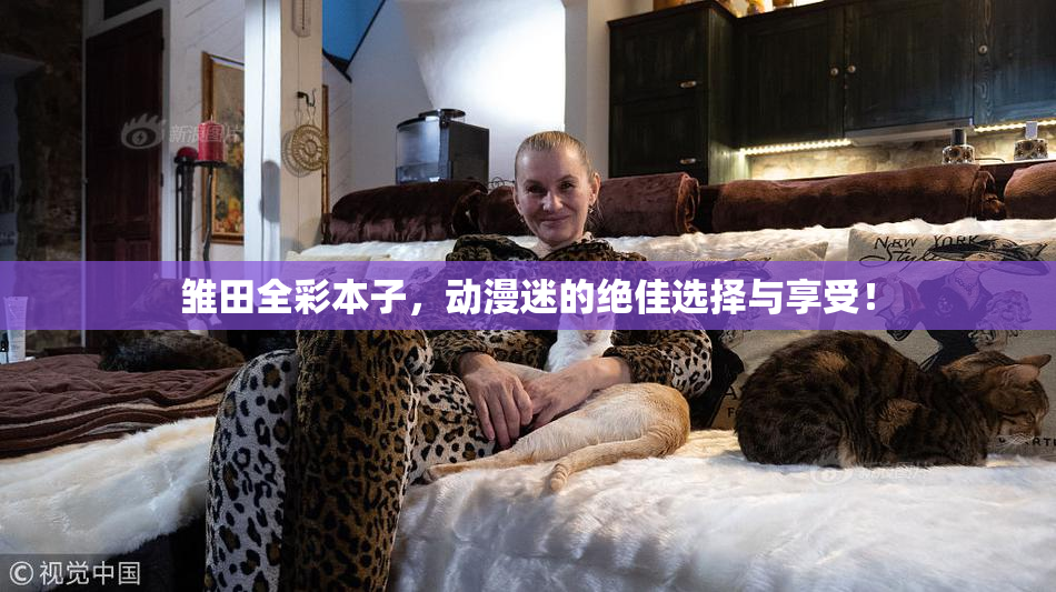 雏田全彩本子，动漫迷的绝佳选择与享受！