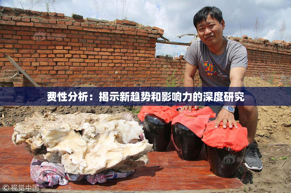 费性分析：揭示新趋势和影响力的深度研究