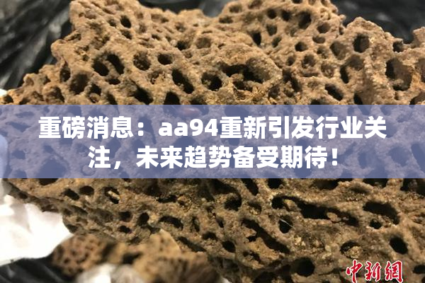 重磅消息：aa94重新引发行业关注，未来趋势备受期待！