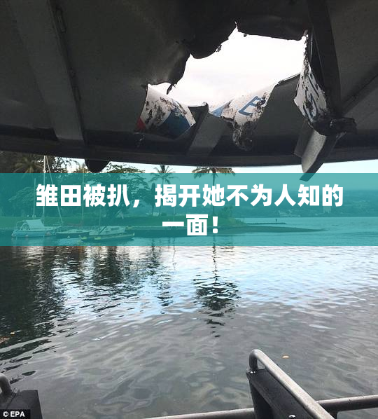 雏田被扒，揭开她不为人知的一面！