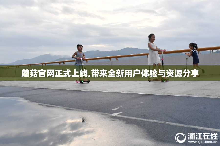 蘑菇官网正式上线,带来全新用户体验与资源分享