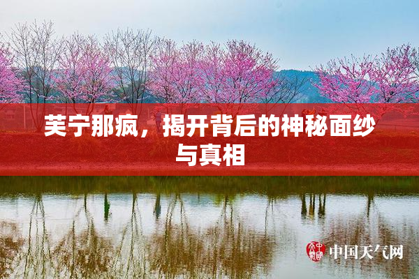 芙宁那疯，揭开背后的神秘面纱与真相