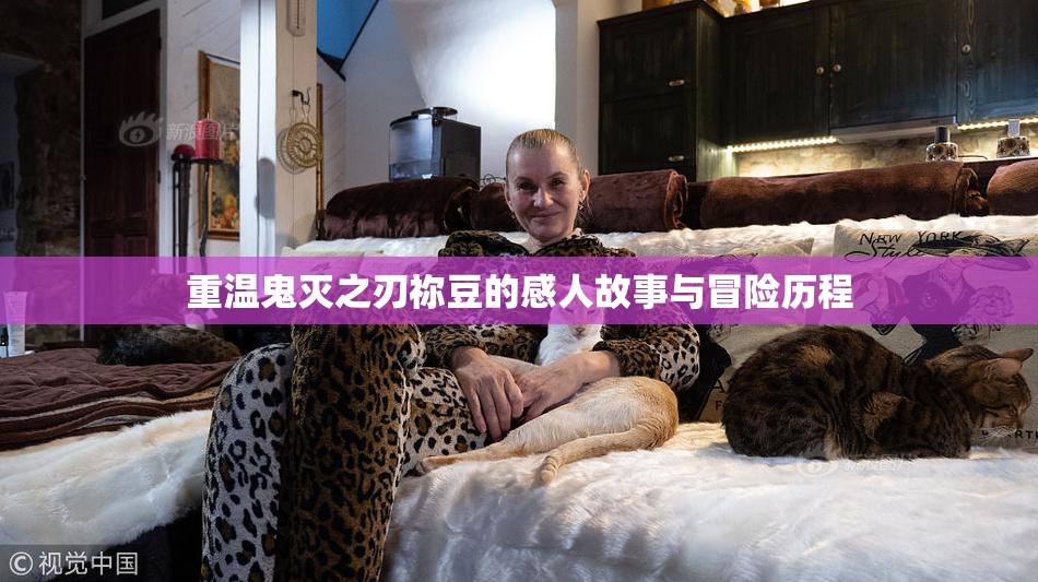 重温鬼灭之刃祢豆的感人故事与冒险历程