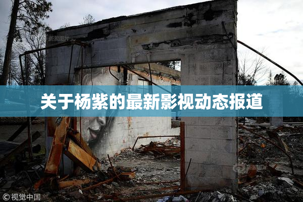关于杨紫的最新影视动态报道