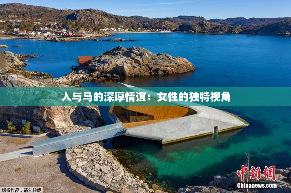 人与马的深厚情谊：女性的独特视角
